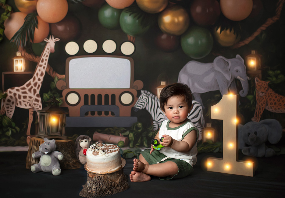 Houston Cake smash photographer