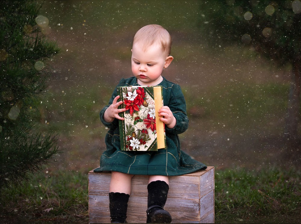 Christmas Tree Farm Mini Sessions