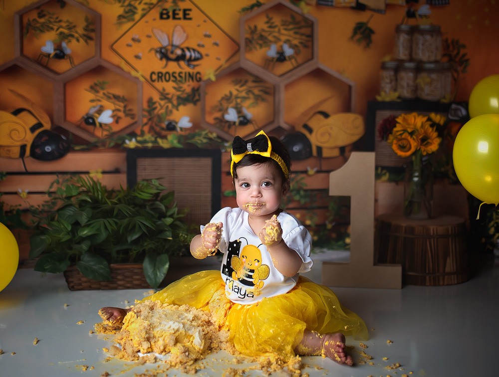 Baby cake smash Houston
