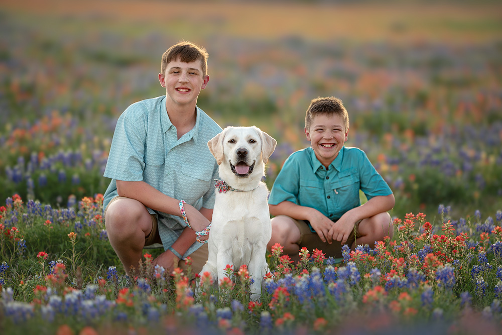Brothers With Dog Bluebonnet Photo
